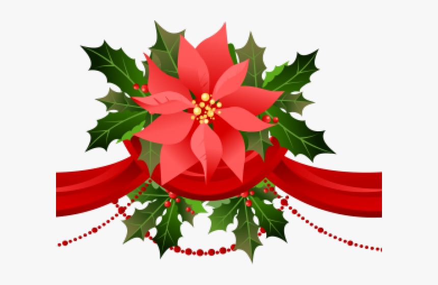 Transparent Drill Team Clipart - Poinsettia Clipart, HD Png Download