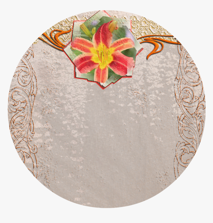 Poinsettia, HD Png Download