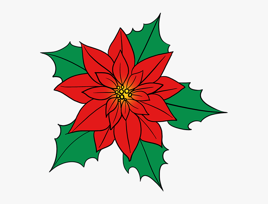 How To Draw Poinsettia - Poinsettia Cartoon, HD Png Download