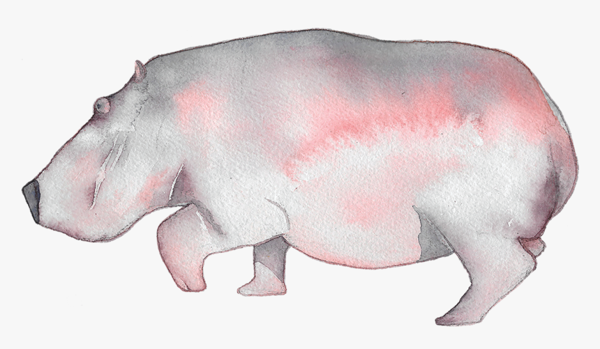 Hippopotamus , Png Download - Hippopotamus, Transparent Png
