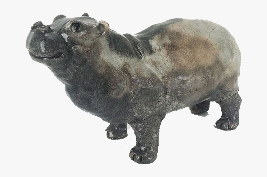 Hippopotamus Png Free Images - Bison, Transparent Png