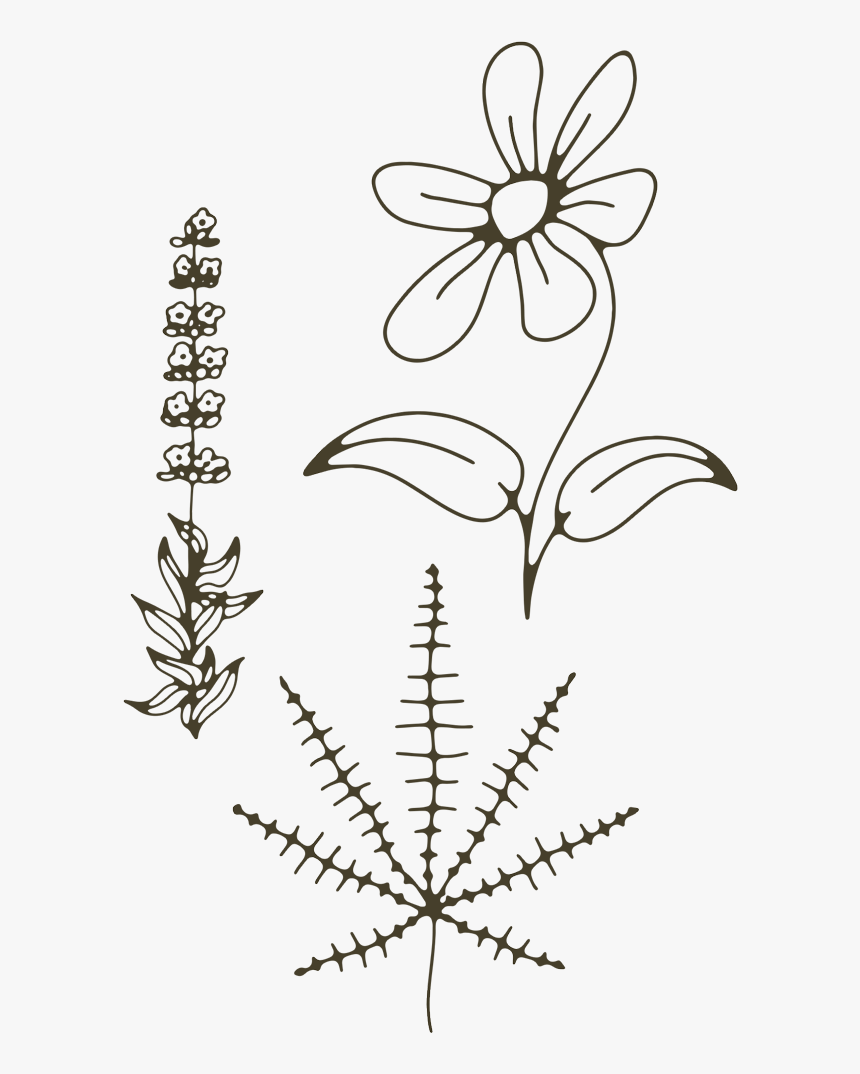 Drawing, HD Png Download