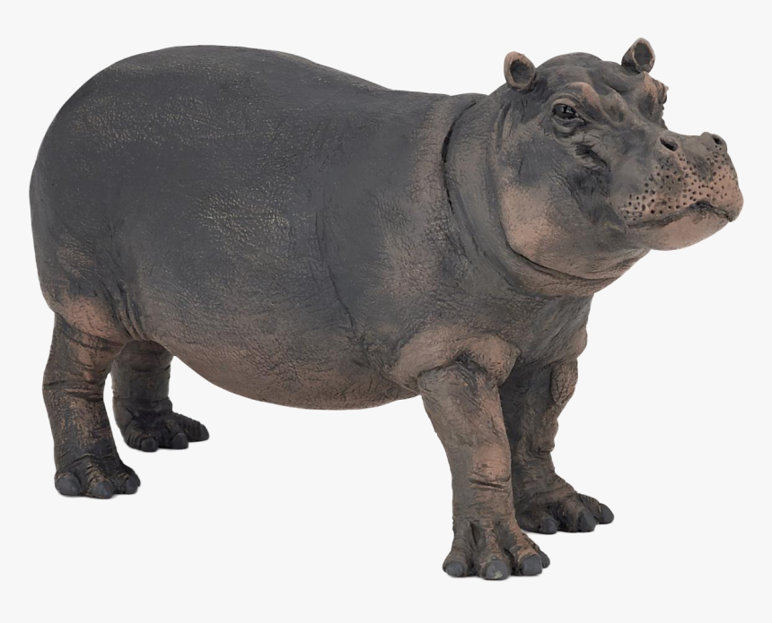 Hippopotamus Png Image - Papo Hippopotamus Toy, Transparent Png