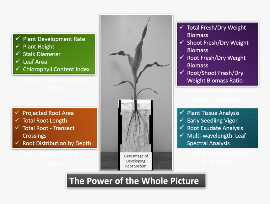 The Power Of The Whole Picture - Trophy, HD Png Download
