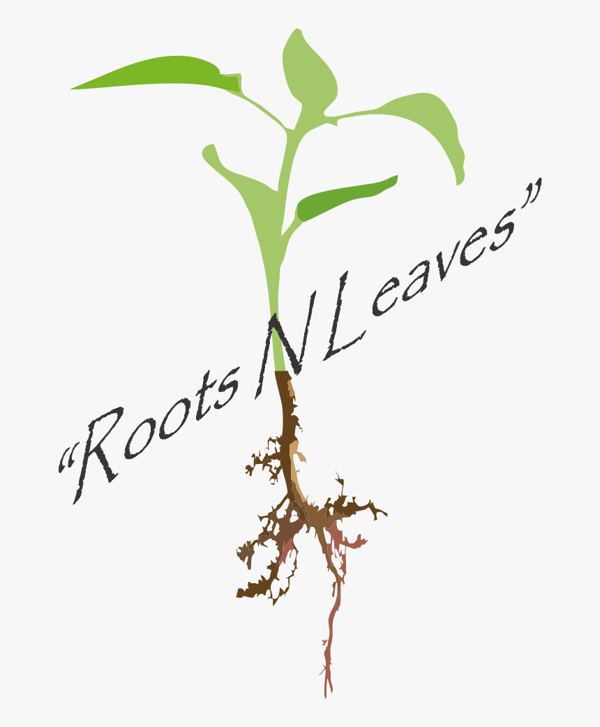 Picture - Illustration, HD Png Download