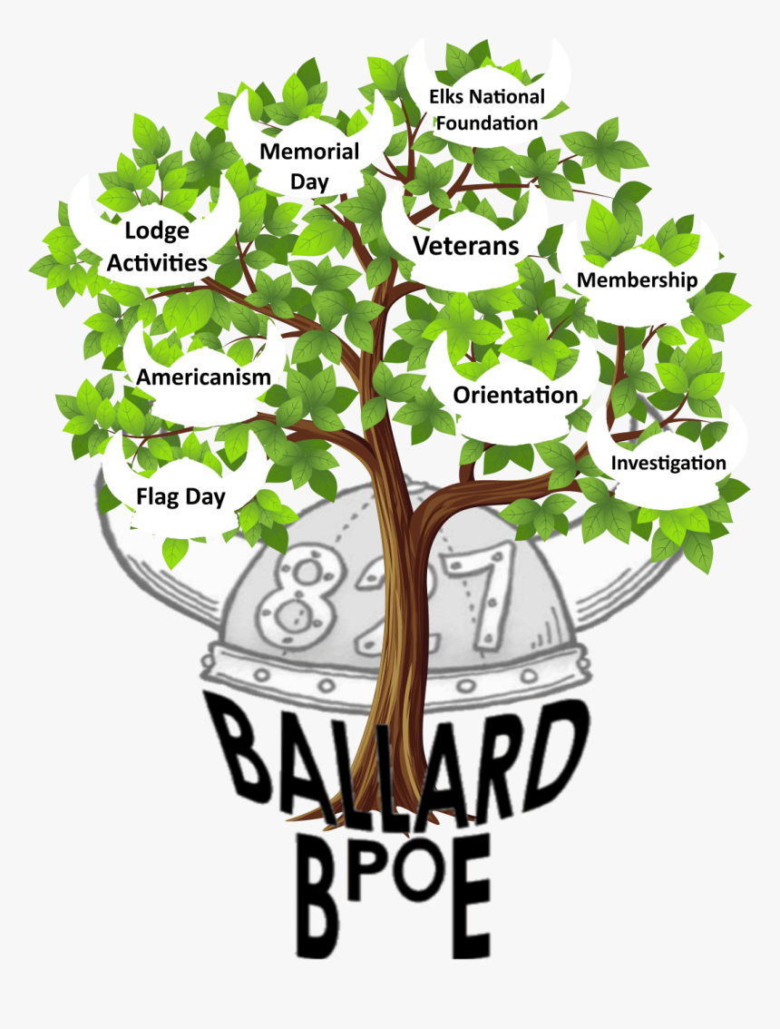 Deciduous Trees Clip Art, HD Png Download