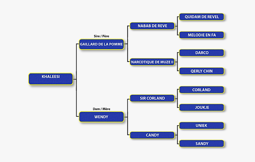 Colorfulness, HD Png Download