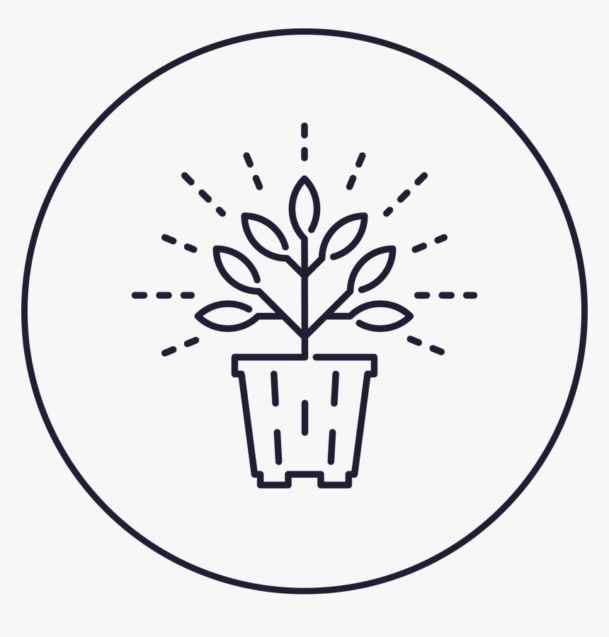 Circle, HD Png Download