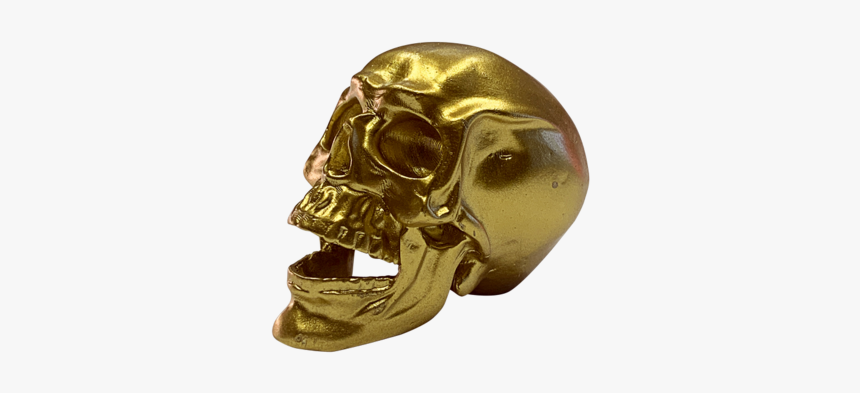 Droeloe Skull, HD Png Download