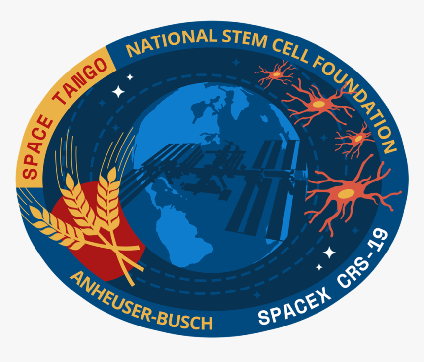 Emblem, HD Png Download