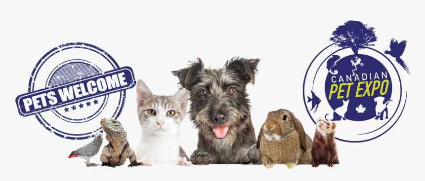 Canadian Spring Pet Expo, HD Png Download
