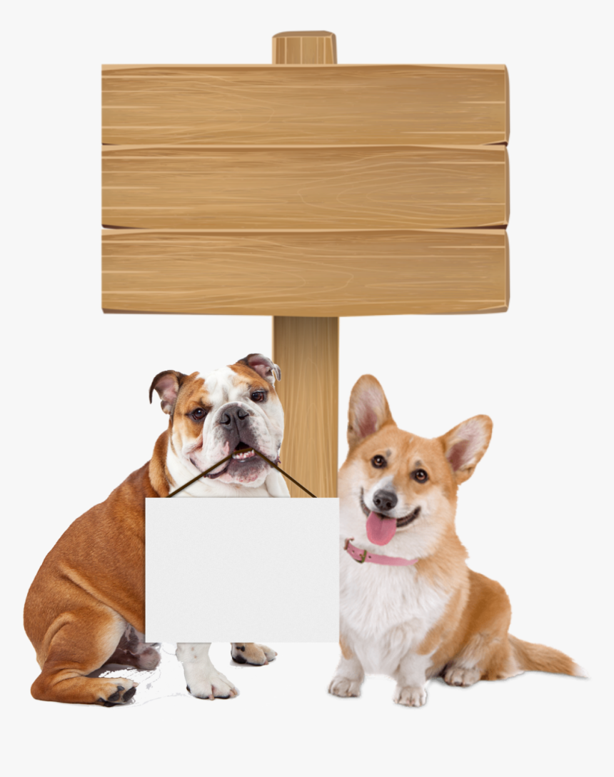 Queen Elizabeth Dog Breed, HD Png Download