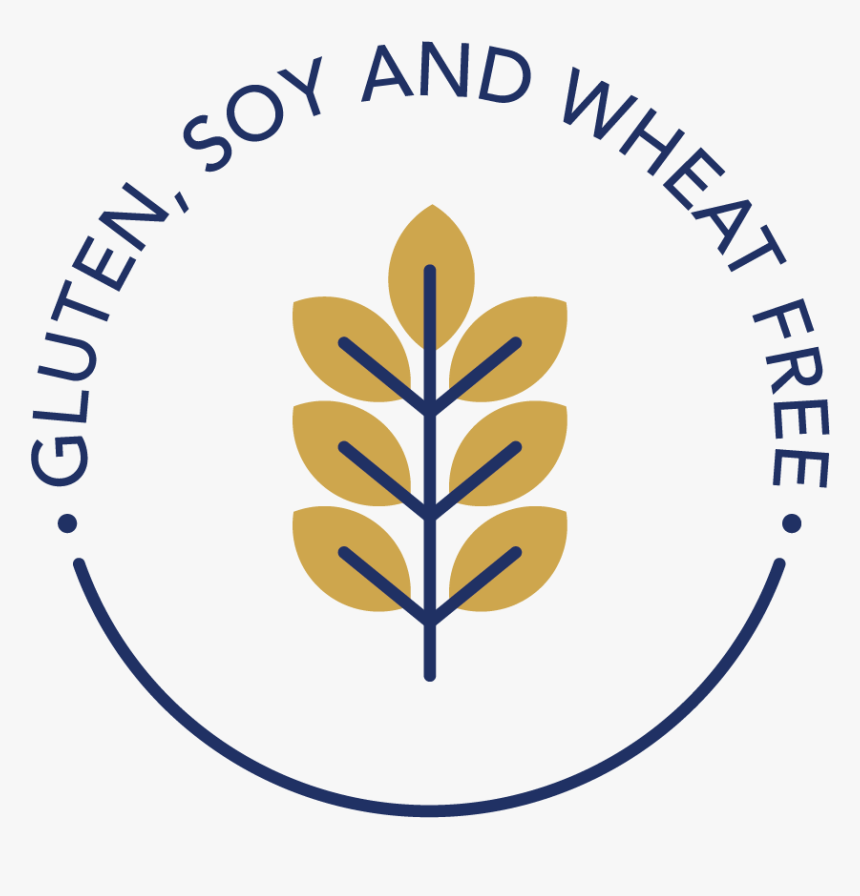 Panda Express, HD Png Download