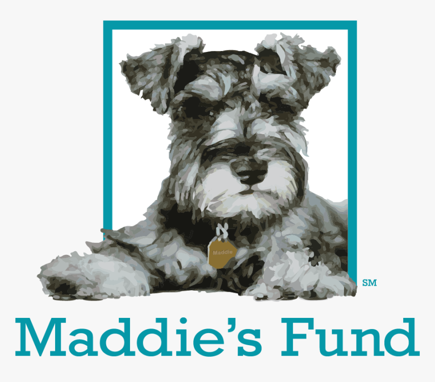 Maddie S Fund Logo - Maddies Fund, HD Png Download