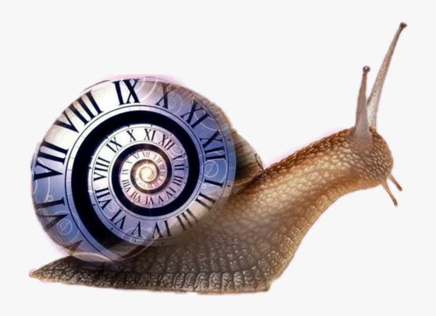 Doctor Who, HD Png Download