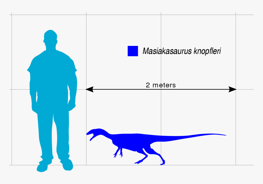 Ecg User Authentication Algorithm, HD Png Download