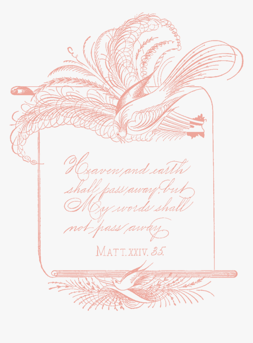 Free Vintage Clip Art - Sketch, HD Png Download