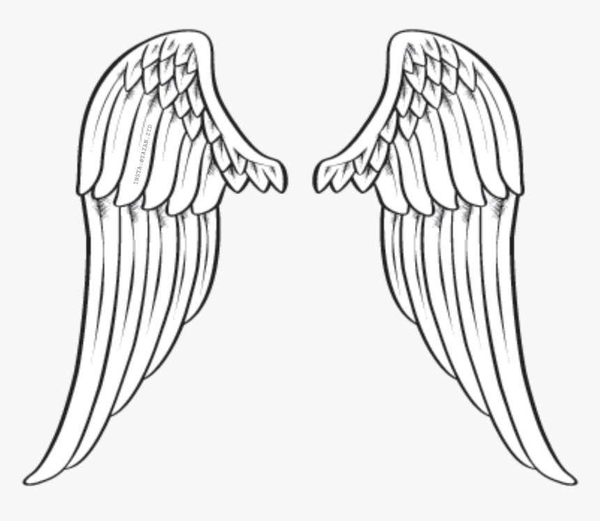#wings #winter Https - Sketch, HD Png Download