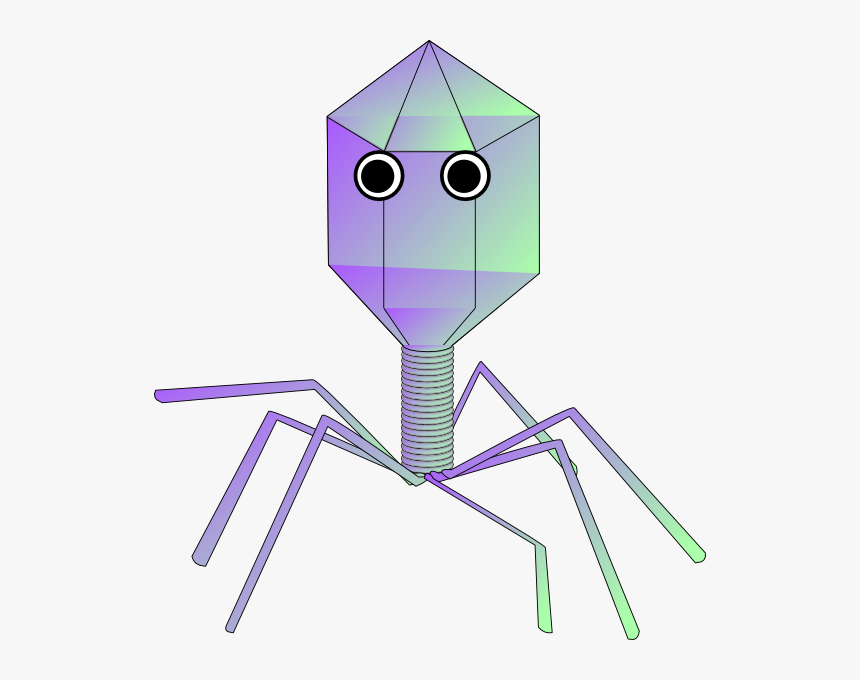 Virus Clip Art, HD Png Download