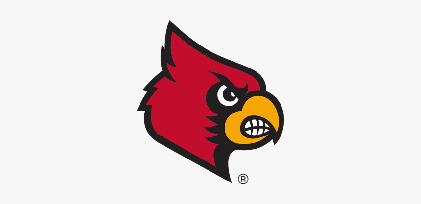 Louisville Cardinals Cards Or Cats - Louisville Cardinals, HD Png Download