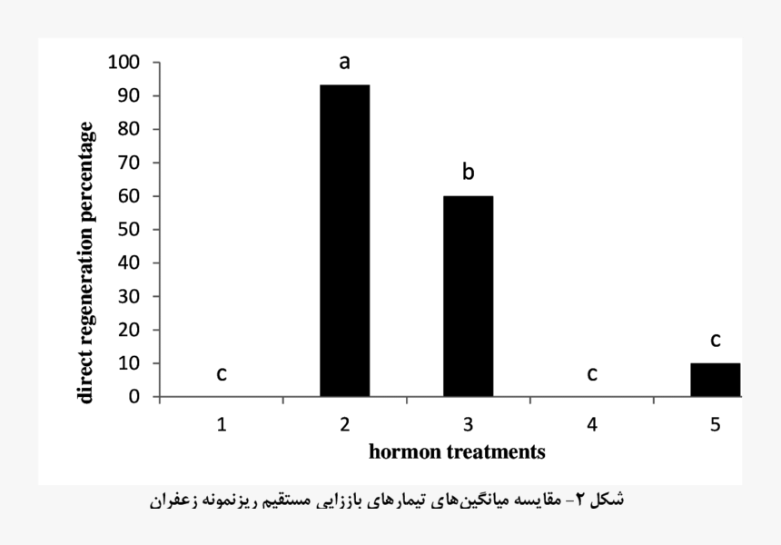 Diagram, HD Png Download