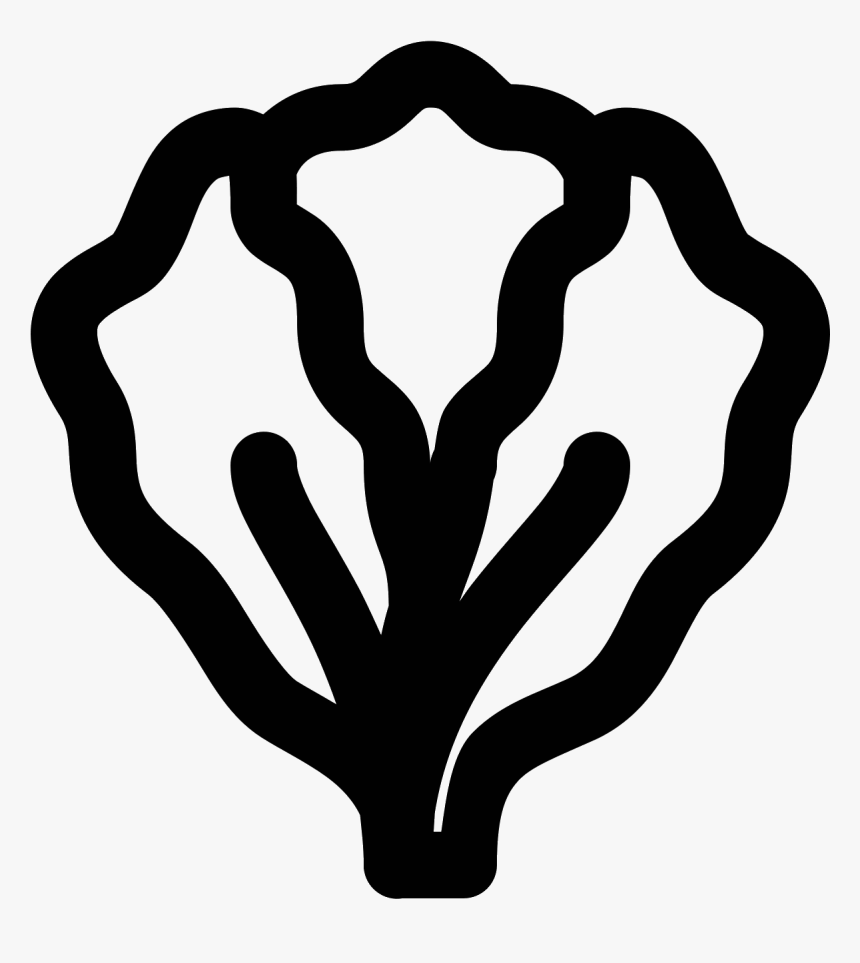 The Image Is An Outline Of A Single Head Of Lettuce, HD Png Download