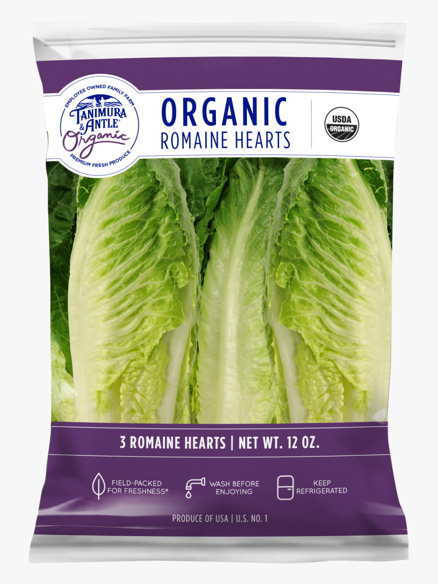 Iceburg Lettuce, HD Png Download