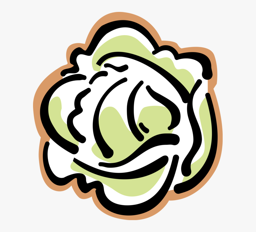 Vector Illustration Of Leaf Vegetable Head Of Lettuce - Fruit And Vegetables Esl, HD Png Download