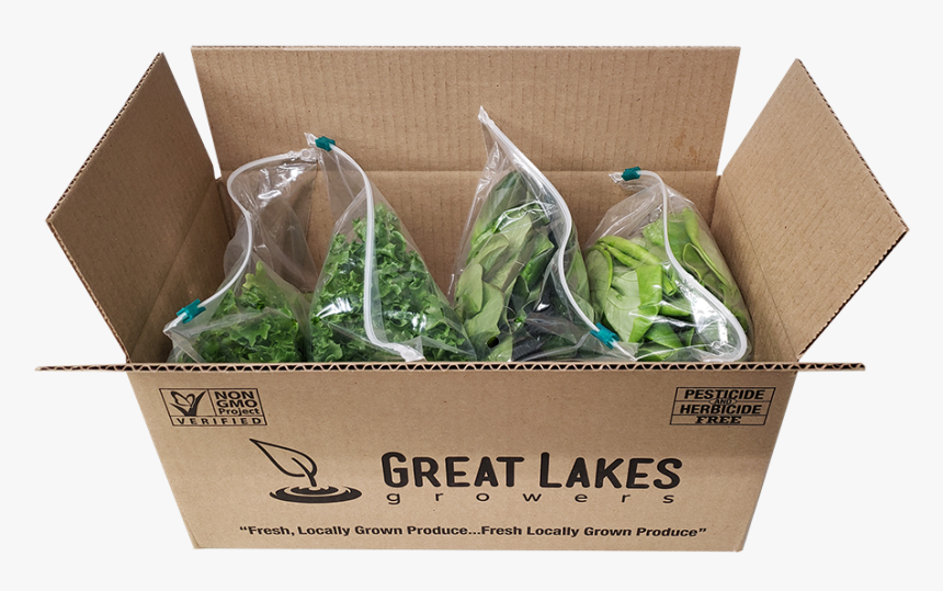 Flowerpot, HD Png Download