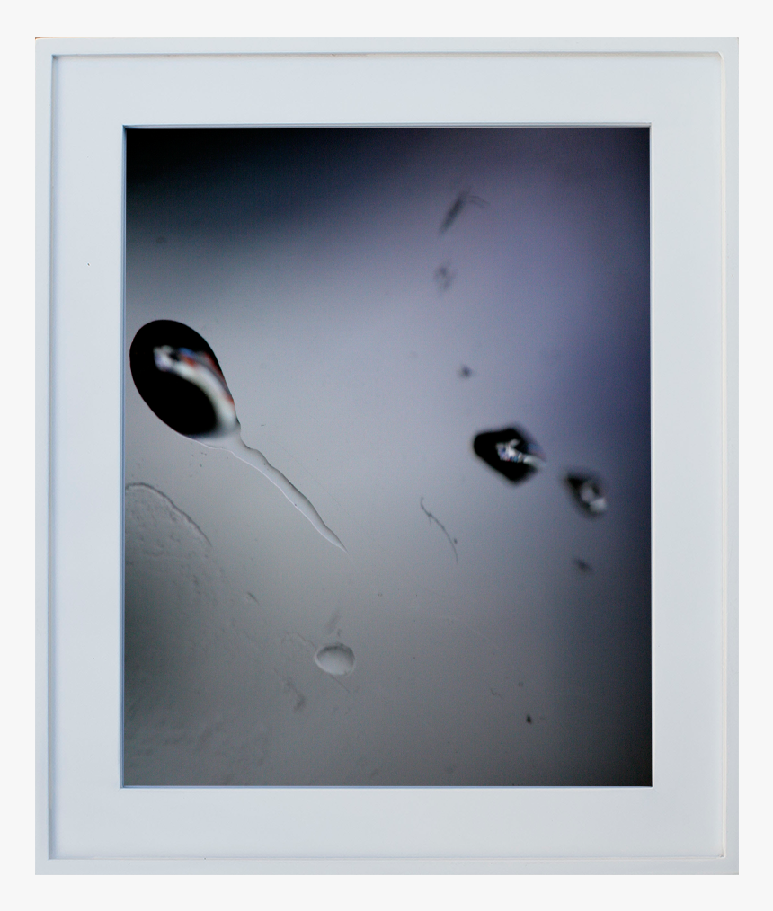 Poster, HD Png Download