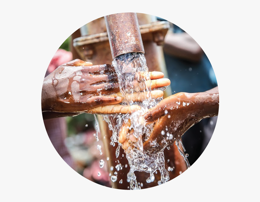 Water - Marine Invertebrates, HD Png Download