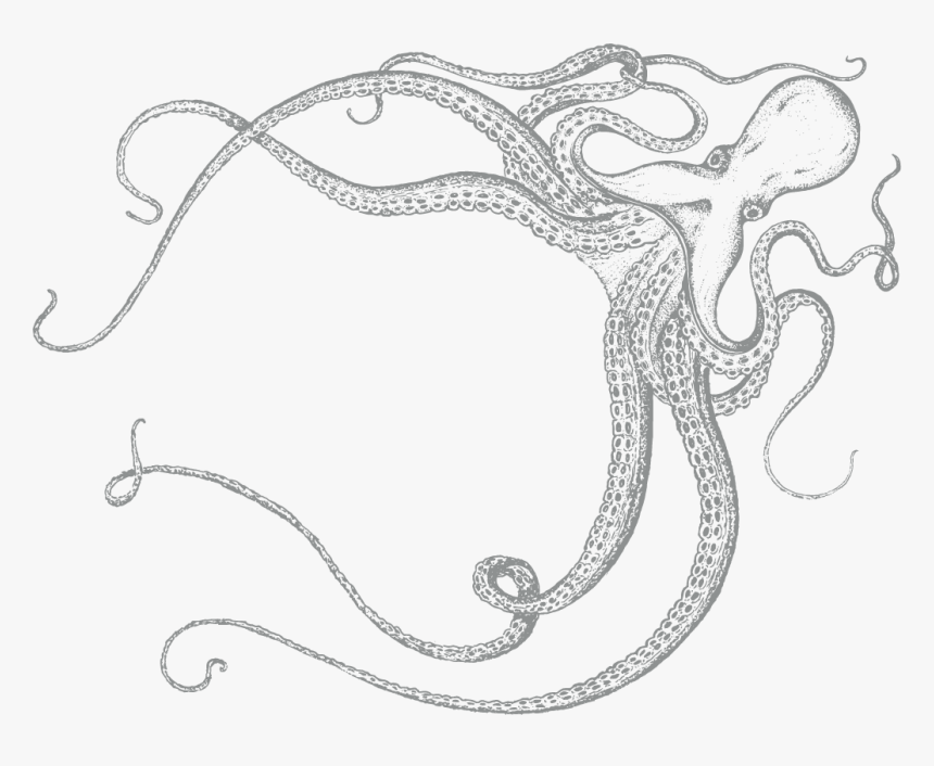 Line Art, HD Png Download