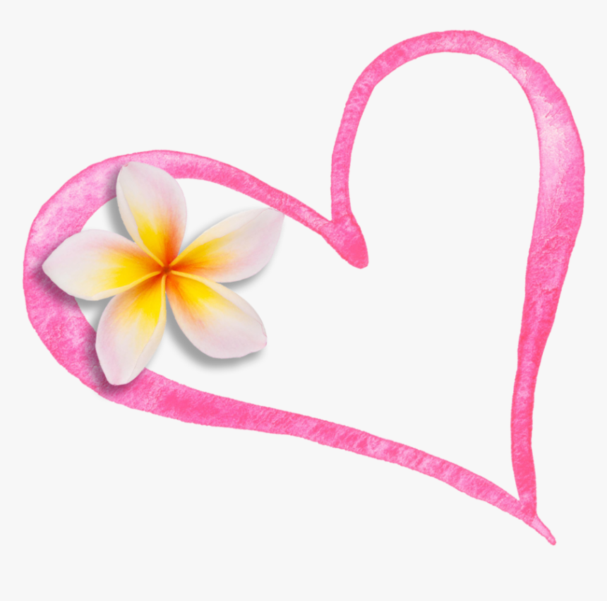 Heart Flower Cropped - Frangipani, HD Png Download