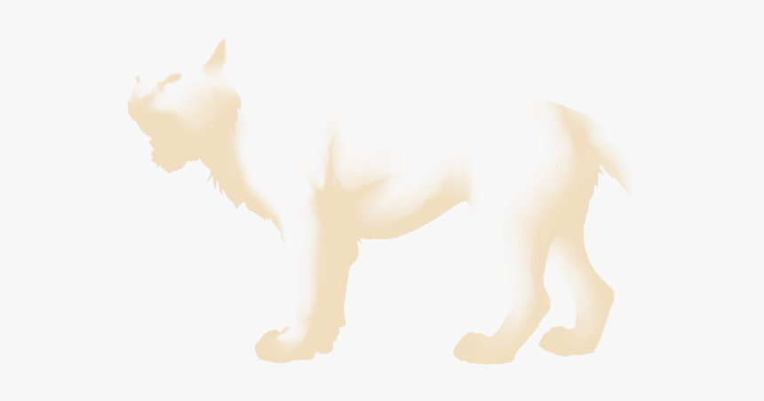 Cat, HD Png Download