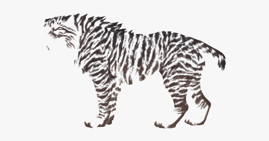 Zebra, HD Png Download