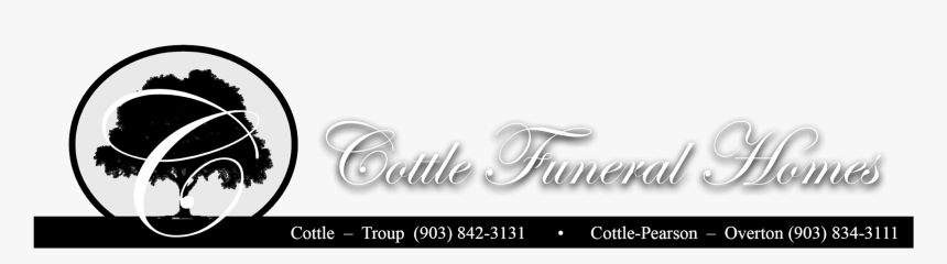 Site Image - Audi, HD Png Download