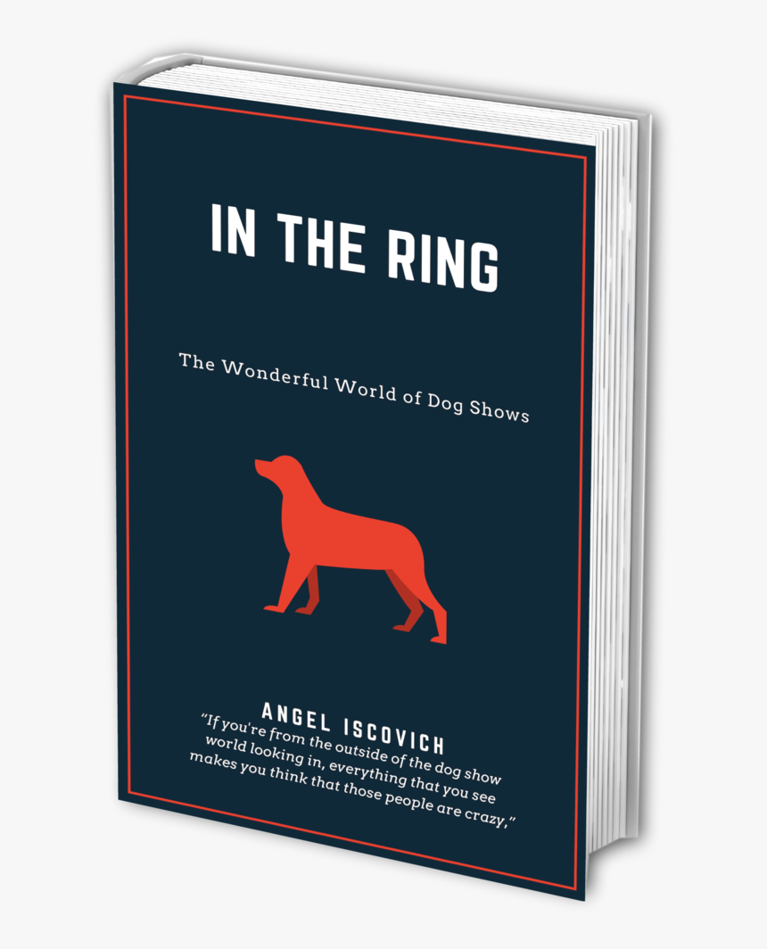 In The Ring - Stallion, HD Png Download