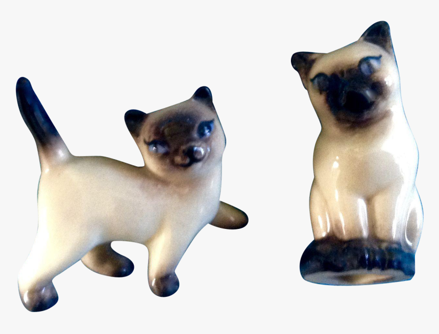 Siamese, HD Png Download