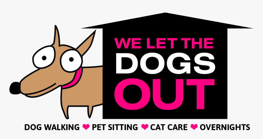 Hrithik Roshan Provogue, HD Png Download