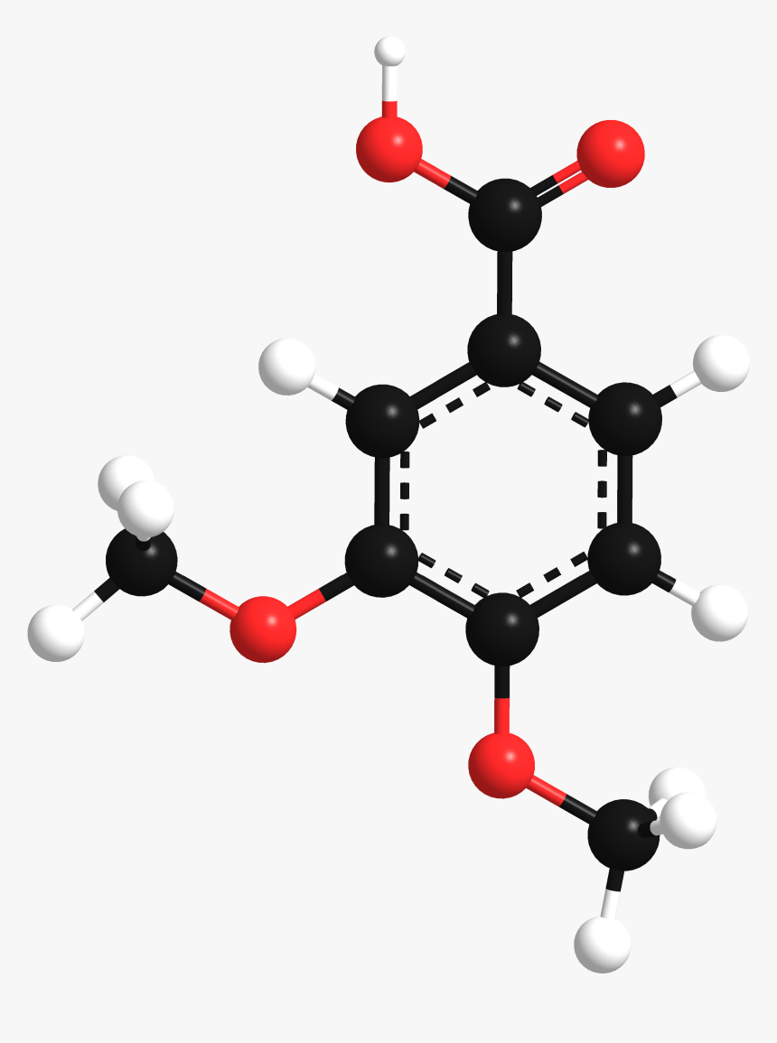 Vetaric Acid Model 3d - Molecular Graph, HD Png Download