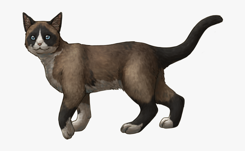 Snowshoe Cat Walking - Cat Yawns, HD Png Download