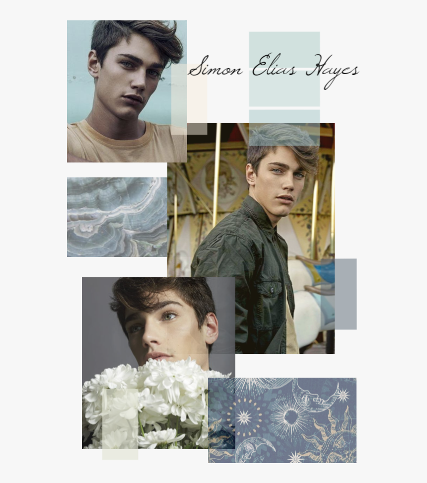 Collage, HD Png Download