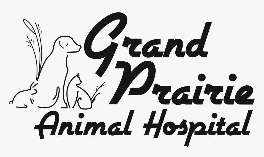 Logo - Calligraphy, HD Png Download