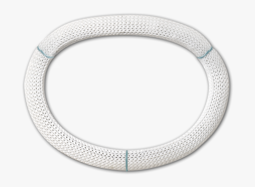 Physio Ii Annuloplasty Ring - Physio Ii Ring 5200, HD Png Download