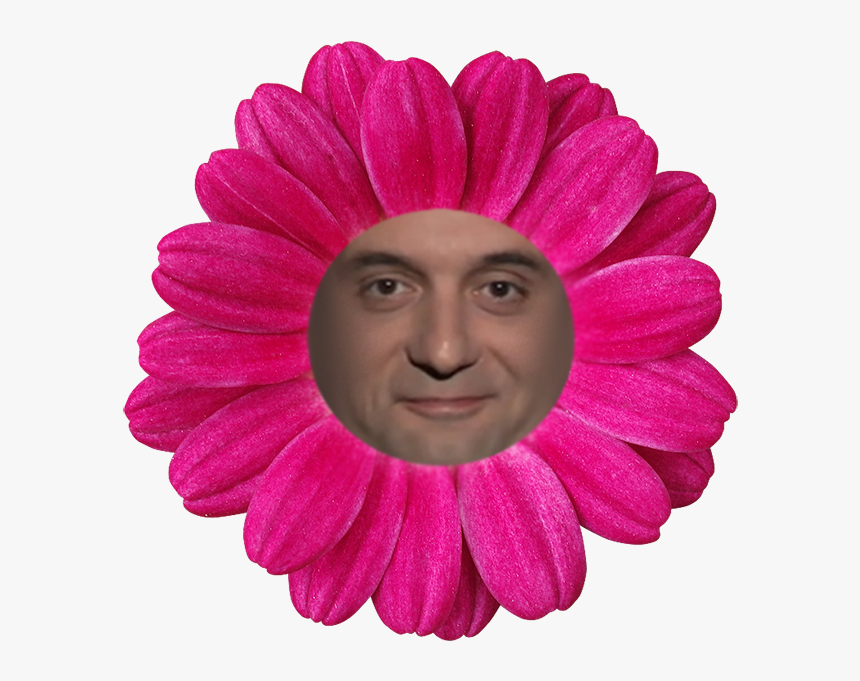 Http - //image - Noelshack - Fleur21 Photog Riffon - Flower, HD Png Download