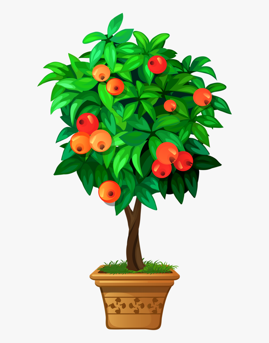 Clipart Roses Apple Tree - Plantas En Macetas Dibujar, HD Png Download