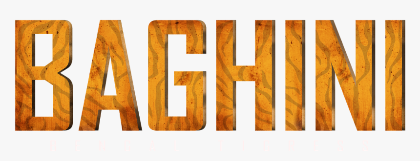 Wood, HD Png Download