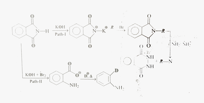 Diagram, HD Png Download