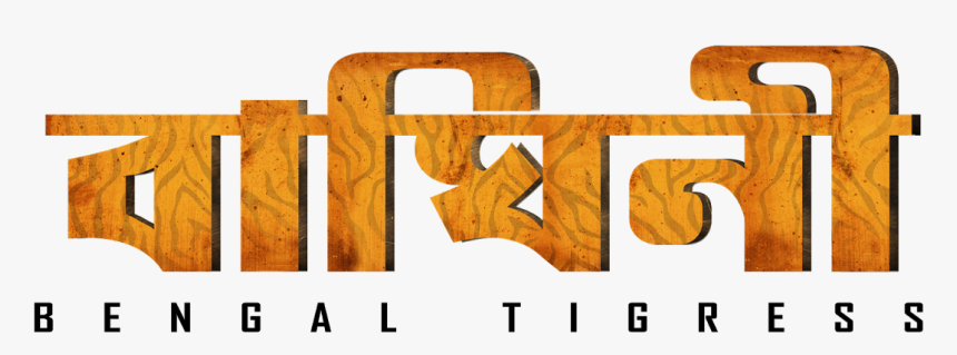 Tan, HD Png Download