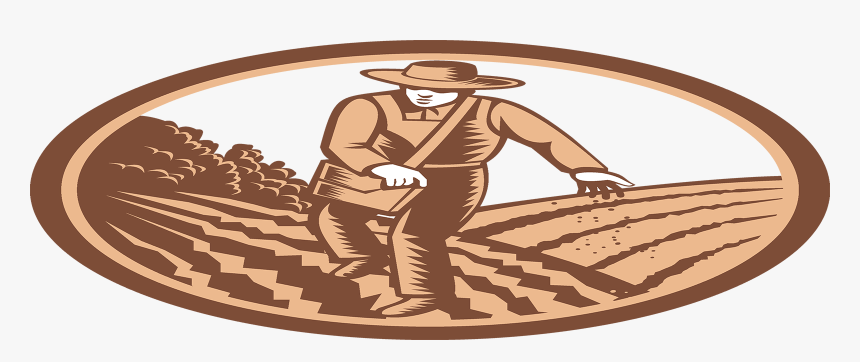Successful Seed Sowing - Siembra Vector, HD Png Download